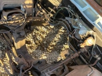 1962 Chevrolet Impala for sale in Michigan (ID-122277)