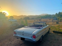 1962 Ford Falcon for sale in Michigan (ID-117313)
