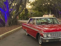 1962 Ford Galaxie 500 for sale in Michigan (ID-130737)
