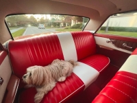 1962 Ford Galaxie 500 for sale in Michigan (ID-130737)