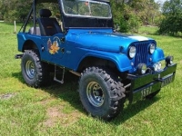 1962 Jeep Willys for sale in Michigan (ID-126135)