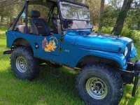 1962 Jeep Willys for sale in Michigan (ID-126135)