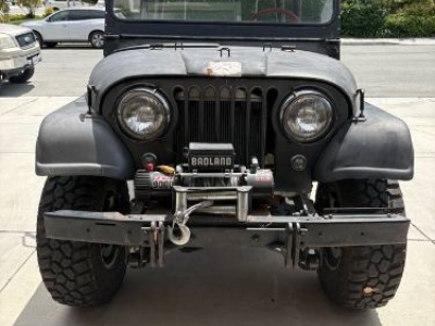 1962 Jeep Willys for sale