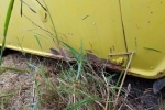1963 Ford Econoline for sale in Texas (ID-30127)