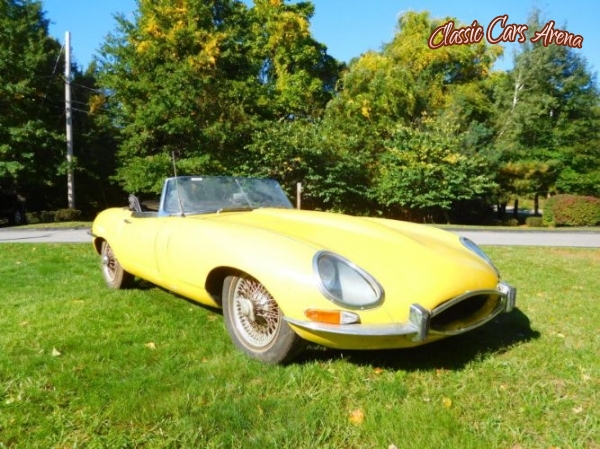 1963 Jaguar E-Type for sale in Michigan (ID-45533)