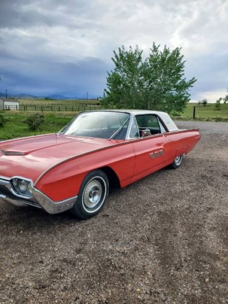 1963 Ford Thunderbird for sale in Michigan (ID-100940)