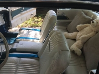 1963 Ford Thunderbird for sale in Michigan (ID-139201)