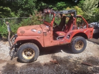 1963 Jeep CJ5 for sale in Michigan (ID-118686)