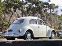 1963 Volkswagen Beetle for sale in Michigan (ID-145877)
