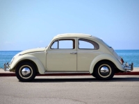1963 Volkswagen Beetle for sale in Michigan (ID-145877)