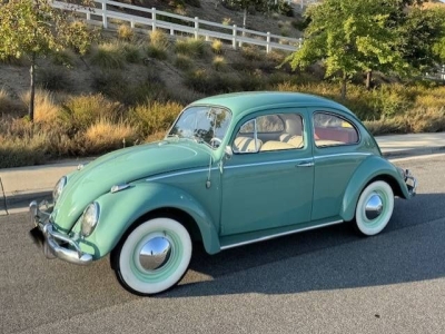 1963 Volkswagen Beetle for sale