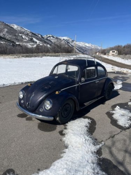 1963 Volkswagen Beetle for sale in Michigan (ID-161754)