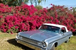 1964 Dodge Polara for sale in Whittier, California (ID-77058)