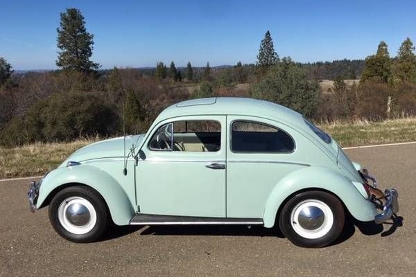 1964 Volkswagen Beetle for sale