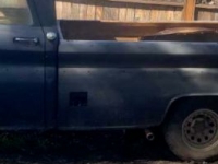 1964 Chevrolet C10 for sale in Michigan (ID-115561)