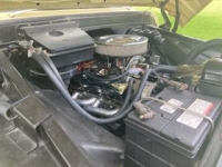 1964 Chevrolet C10 for sale (ID-119303)