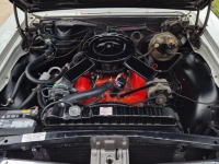 1964 Chevrolet Chevelle for sale (ID-146211)