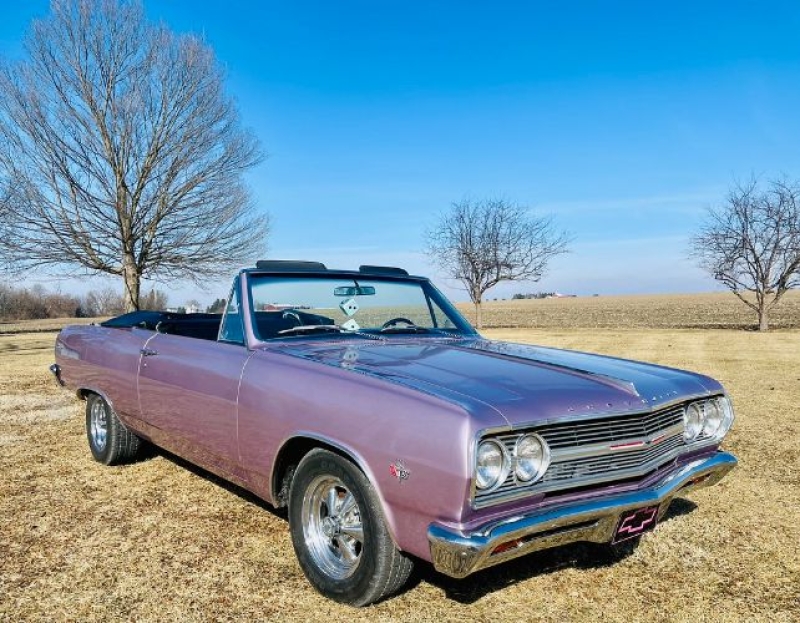 1964 Chevrolet Chevelle for sale in Michigan (ID-164559)