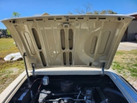 1964 Chevrolet Corvair for sale in Michigan (ID-126248)