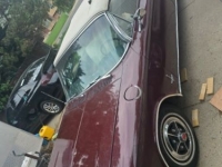 1964 Chevrolet Corvair for sale in Michigan (ID-142184)