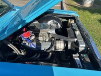 1964 Chevrolet El Camino for sale in Michigan (ID-128394)