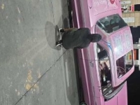 1964 Chevrolet Impala SS for sale in Michigan (ID-156073)