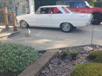 1964 Chevrolet Nova for sale in Michigan (ID-126300)