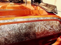 1964 Chevrolet Nova for sale in Michigan (ID-137597)