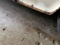 1964 Chrysler 300 for sale in Michigan (ID-119701)