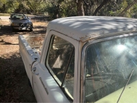1964 Ford F100 for sale in Michigan (ID-123131)