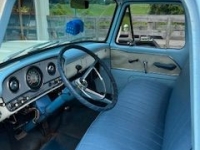 1964 Ford F250 for sale in Michigan (ID-133495)