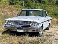 1964 Ford Fairlane for sale in Michigan (ID-143796)