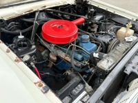 1964 Ford Fairlane for sale in Michigan (ID-163891)