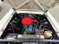 1964 Ford Fairlane for sale in Michigan (ID-163891)