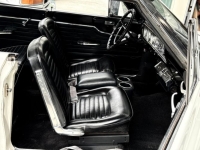 1964 Ford Fairlane for sale in Michigan (ID-163891)