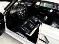 1964 Ford Fairlane for sale in Michigan (ID-163891)