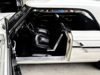 1964 Ford Fairlane for sale in Michigan (ID-163891)