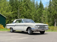 1964 Ford Fairlane for sale in Michigan (ID-163891)