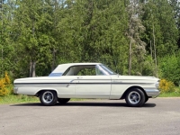 1964 Ford Fairlane for sale in Michigan (ID-163891)