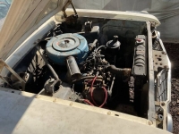 1964 Ford Fairlane 500 for sale in Michigan (ID-154952)