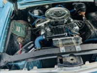 1964 Ford Galaxie for sale (ID-106233)