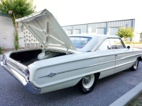 1964 Ford Galaxie for sale in Michigan (ID-164250)