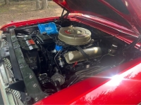 1964 Ford Galaxie 500 for sale in Michigan (ID-142203)