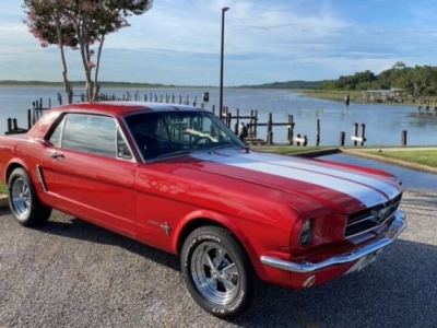 1964 Ford Mustang for sale