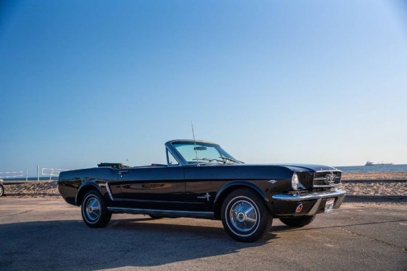 1964 Ford Mustang for sale in Michigan (ID-116225)