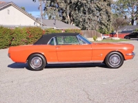 1964 Ford Mustang for sale (ID-125223)