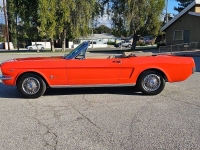 1964 Ford Mustang for sale (ID-125223)
