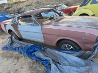 1964 Ford Mustang for sale in Michigan (ID-143960)