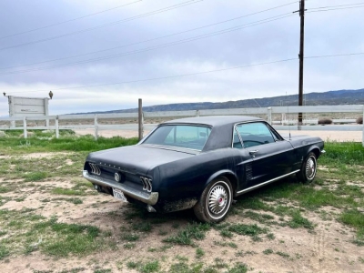 1964 Ford Mustang for sale
