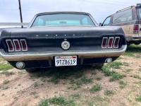 1964 Ford Mustang for sale (ID-161132)